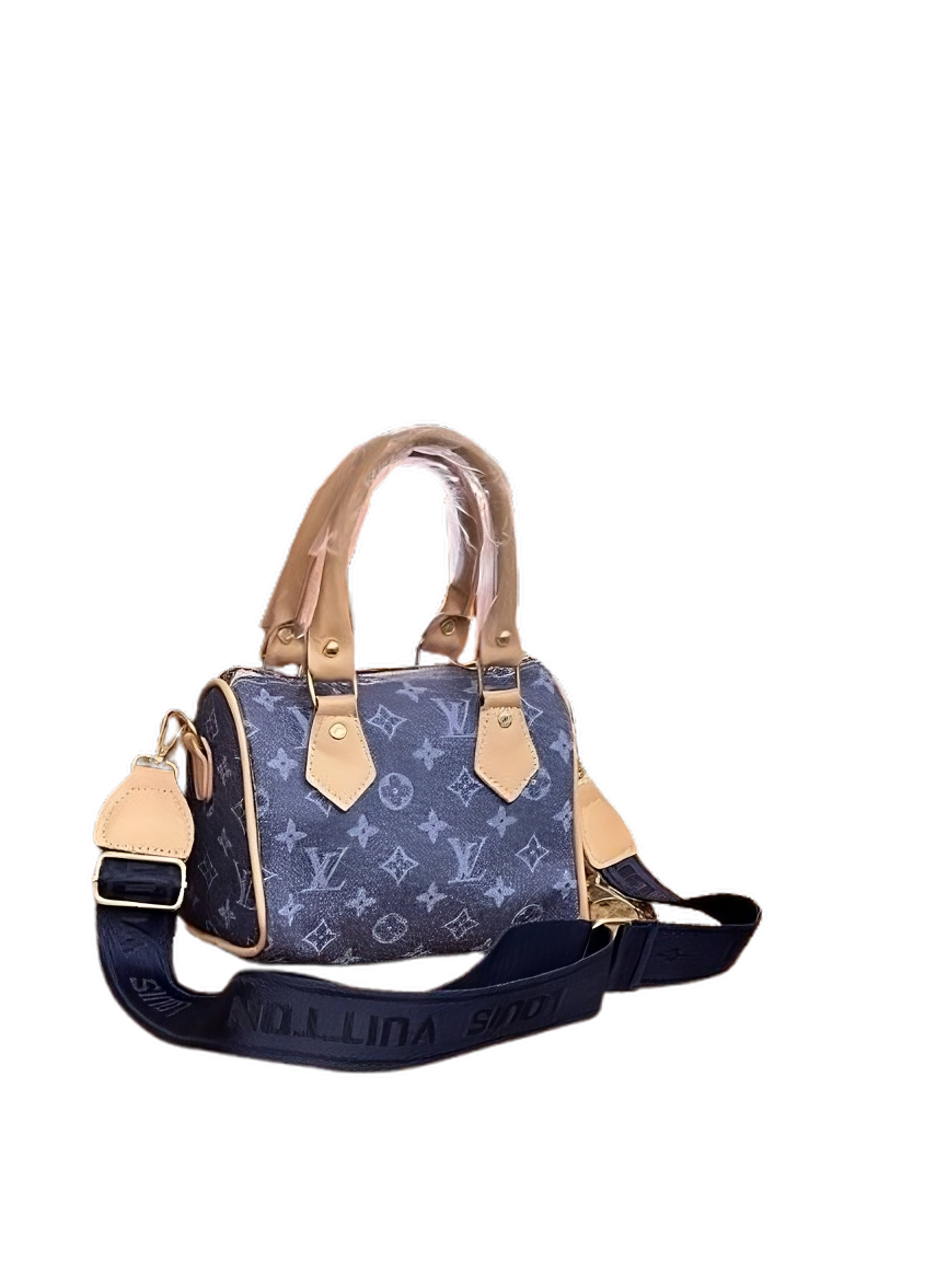louis vuitton , mini hL speedy bags 2