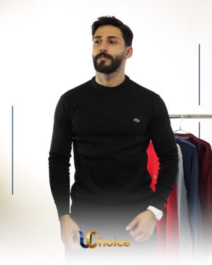 lacoste wool sweater - trico